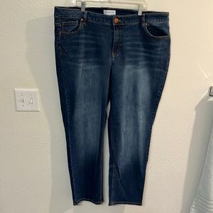 Lane Bryant Straight Leg Jean